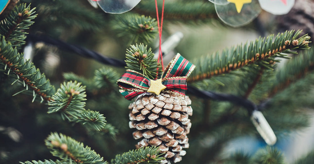 An acorn ornament with a Christmas plaid bow and a yellow star glued to the top. The acorn hangs from a tree.