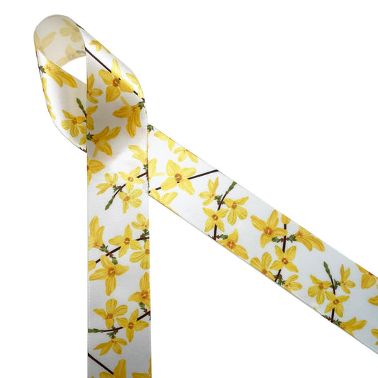 Yellow Forsythia blossoms on their branches printed on  1.5" white single face satin ribbon is perfect to  welcome Spring! This beautiful ribbon is perfect for Spring wreaths, hat bands, gift wrap, bows and sewing projects! All our ribbon is designed and printed in the USA