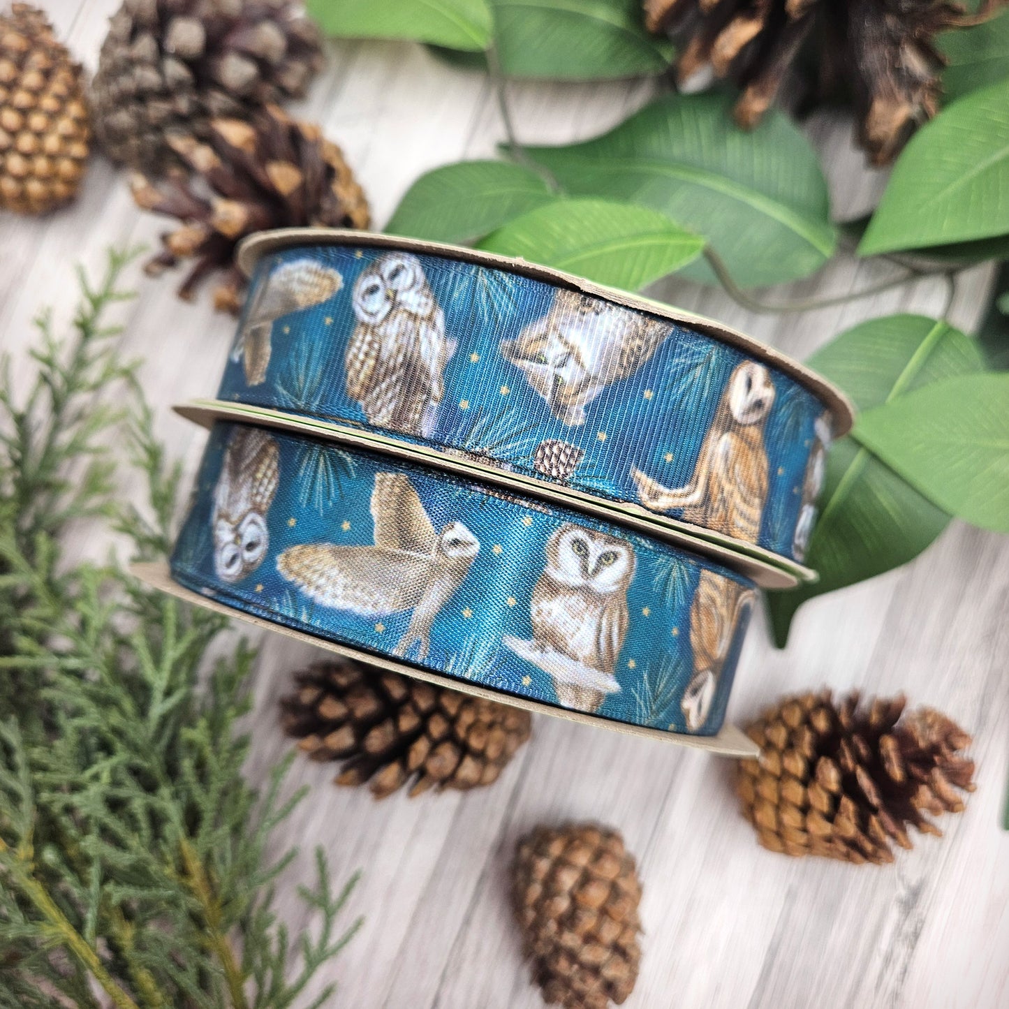 Owl ribbon artful owls on a teal blue background with gold stars and pine branches printed on 5/8" and 1.5" white satin