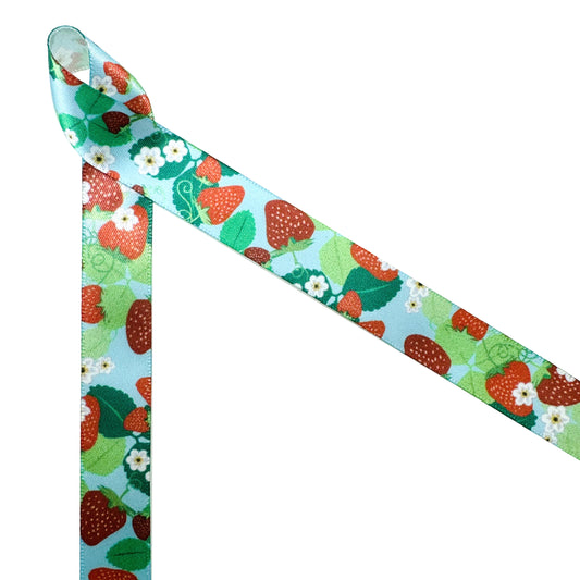 Strawberry Ribbon with white flowers on a blue background printed on 5/8" white single face satin